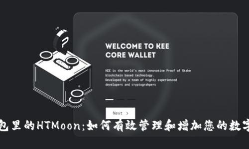 TP钱包里的HTMoon：如何有效管理和增加您的数字资产