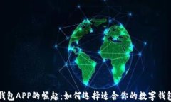 数字钱包APP的崛起：如何选择适合你的数字钱包