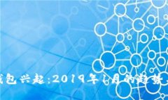数字钱包兴起：2019年1月的