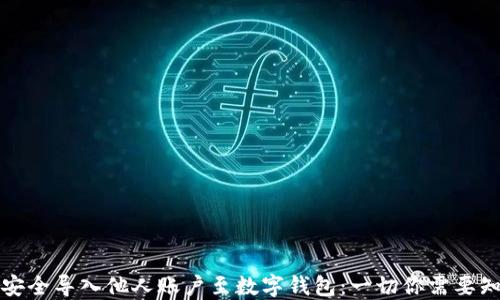 
如何安全导入他人账户至数字钱包：一切你需要知道的