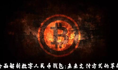 
全面解析数字人民币钱包：未来支付方式的革命