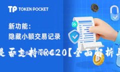 : TP钱包是否支持TRC20？全面解析与用户指南