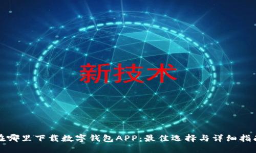 在哪里下载数字钱包APP：最佳选择与详细指南